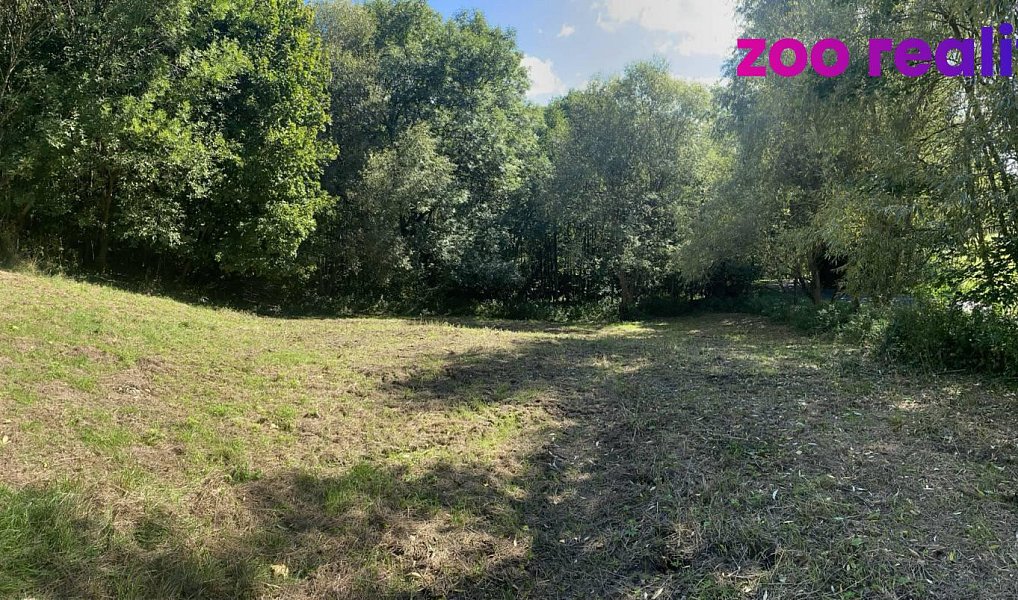 Prodej stavebního pozemku 2 304 m², Blatno – náhled fotky 9