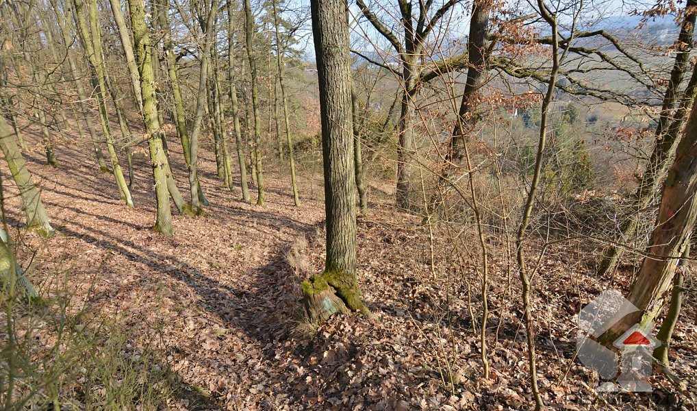 Prodej zahrady 207 m², Brno – náhled fotky 5