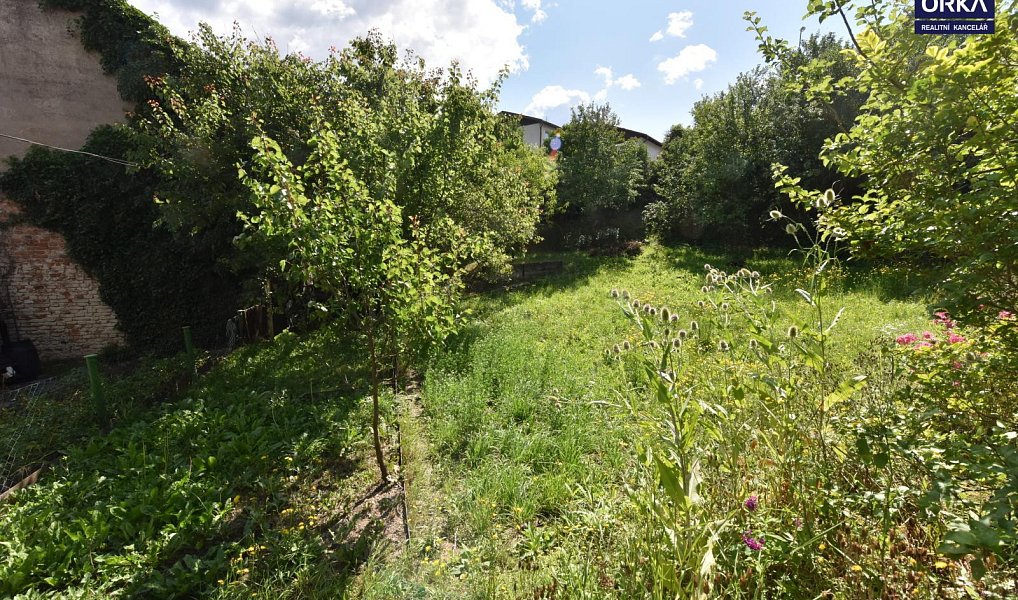 Prodej domu 45 m² s pozemkem 851 m², Zábřeh – náhled fotky 4