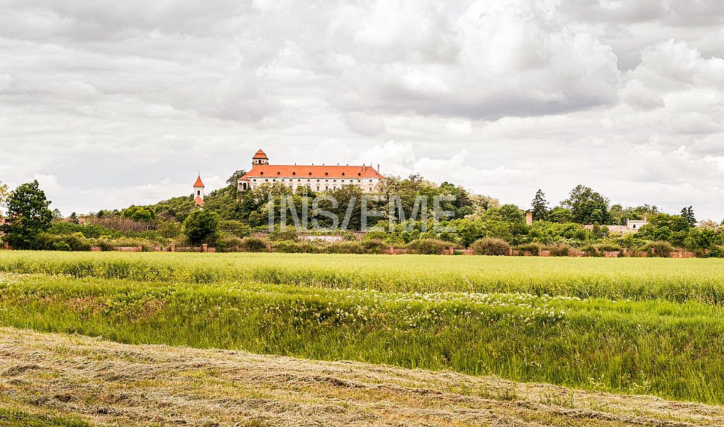 Prodej domu 180 m² s pozemkem 354 m², Jaroslavice – náhled fotky 33