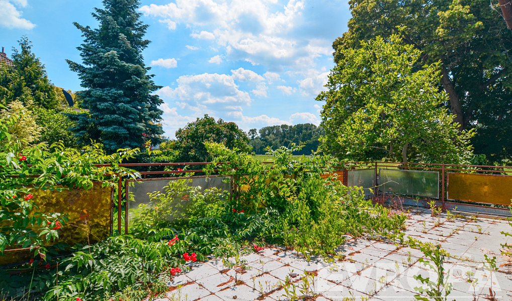 Prodej domu 300 m² s pozemkem 826 m², Břeclav – náhled fotky 38