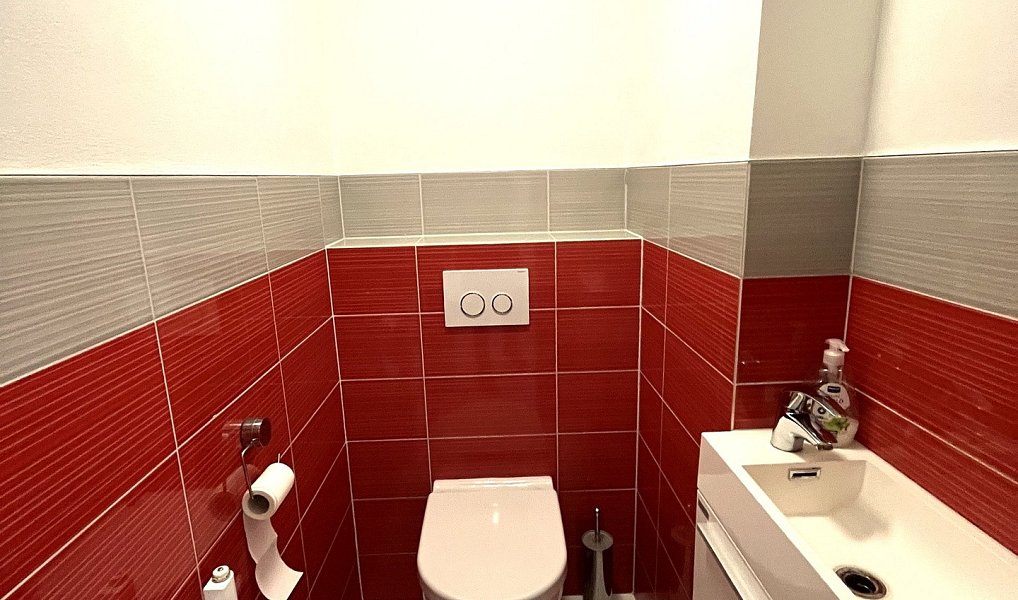 Prodej domu 337 m² s pozemkem 687 m², Knínice – náhled fotky 20