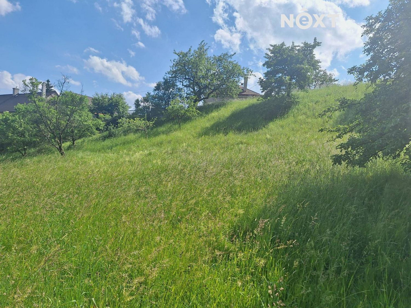 Fotka 9 z 15