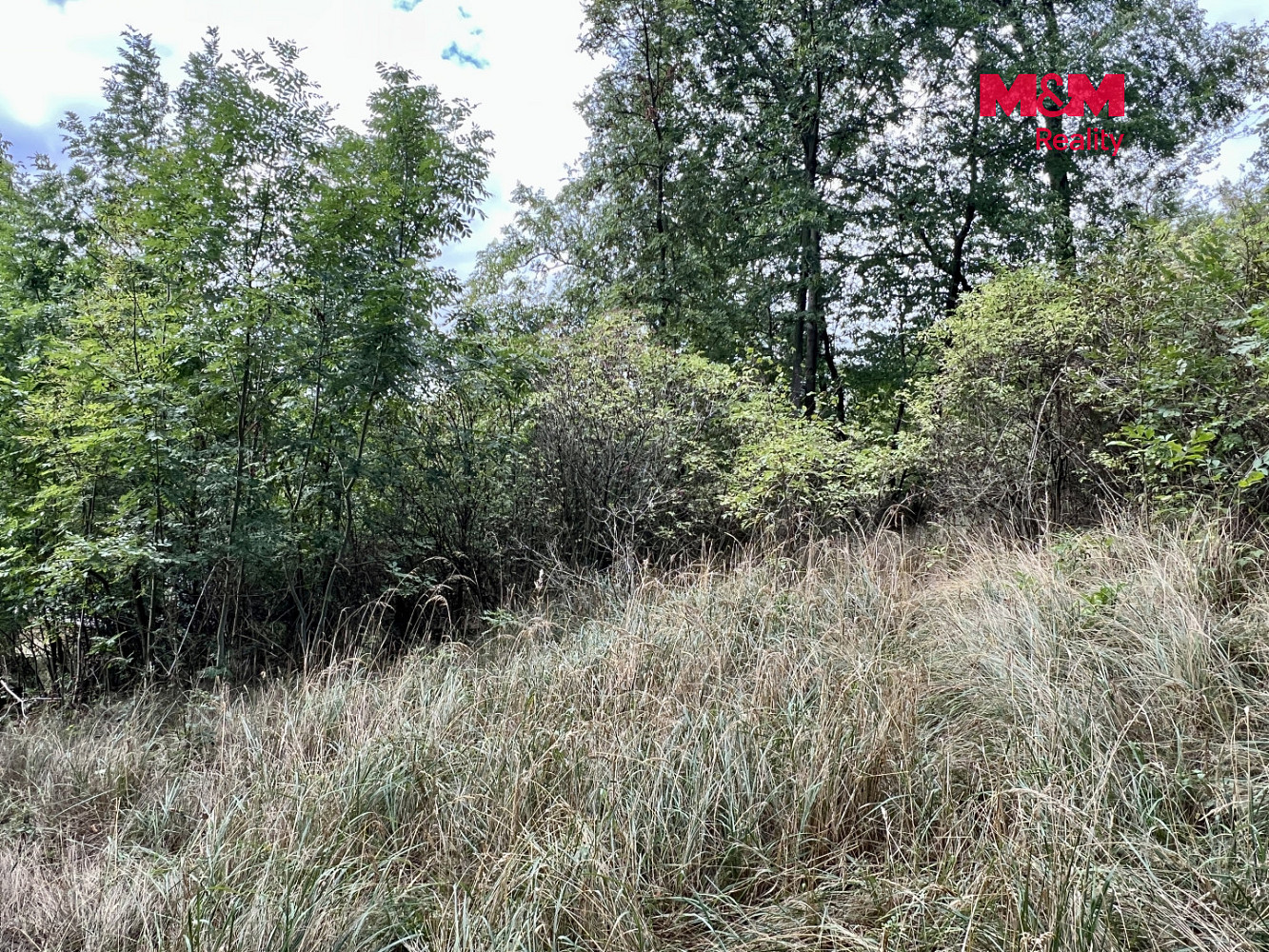 Prodej stavebního pozemku 2 037 m² – fotografie 4
