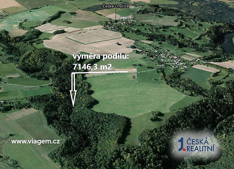 Prodej lesa 7 146 m² – fotografie 2