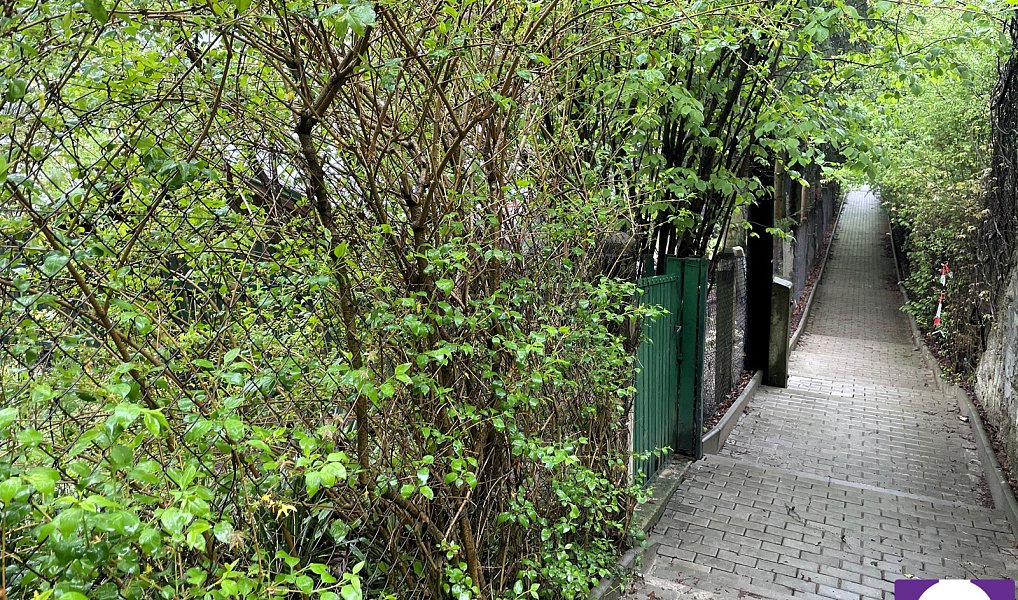 Prodej zahrady 401 m², Lety – náhled fotky 9