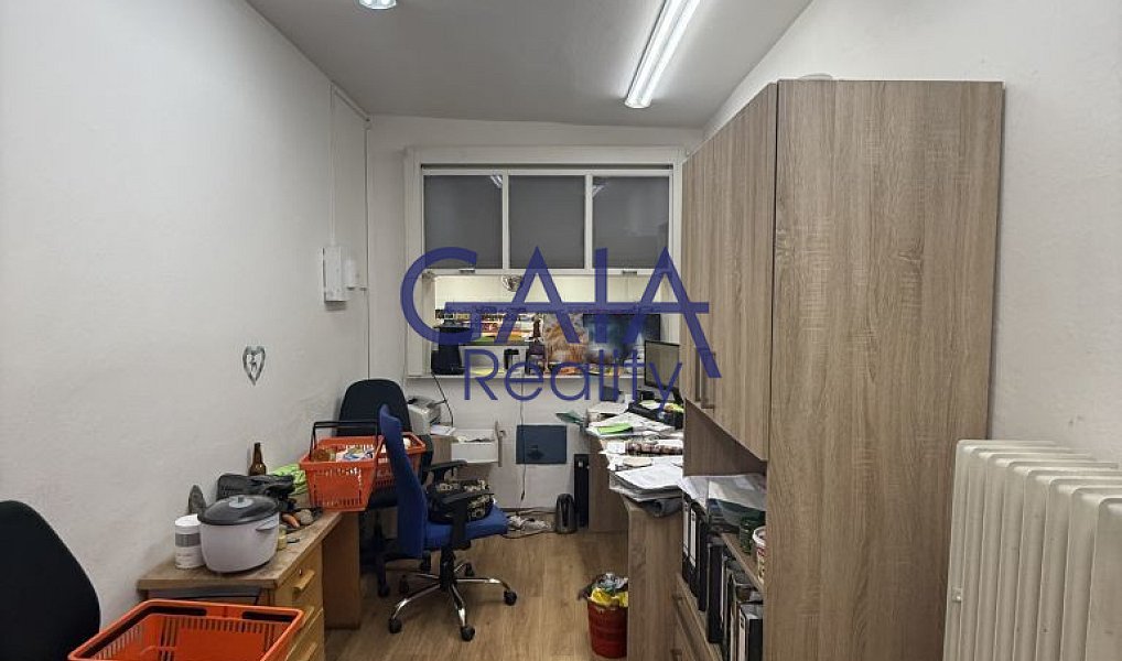 Prodej obchodních prostor 600 m², Dačice – náhled fotky 9