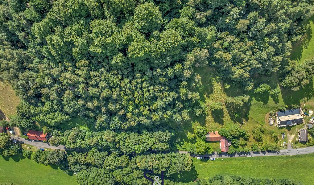 Prodej stavebního pozemku 19 100 m², Proseč pod Ještědem – náhled fotky 14