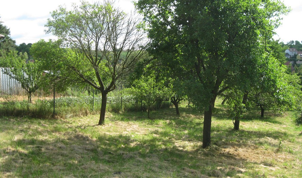 Prodej stavebního pozemku 720 m², Jalubí – náhled fotky 12