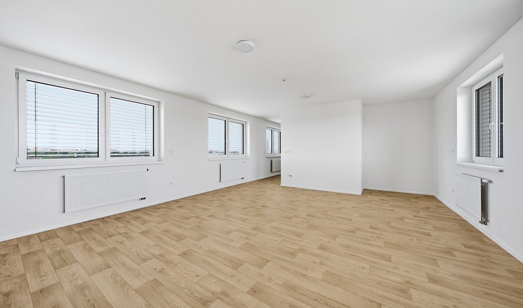 Pronájem bytu 1+1 66 m², Plzeň – náhled fotky 9
