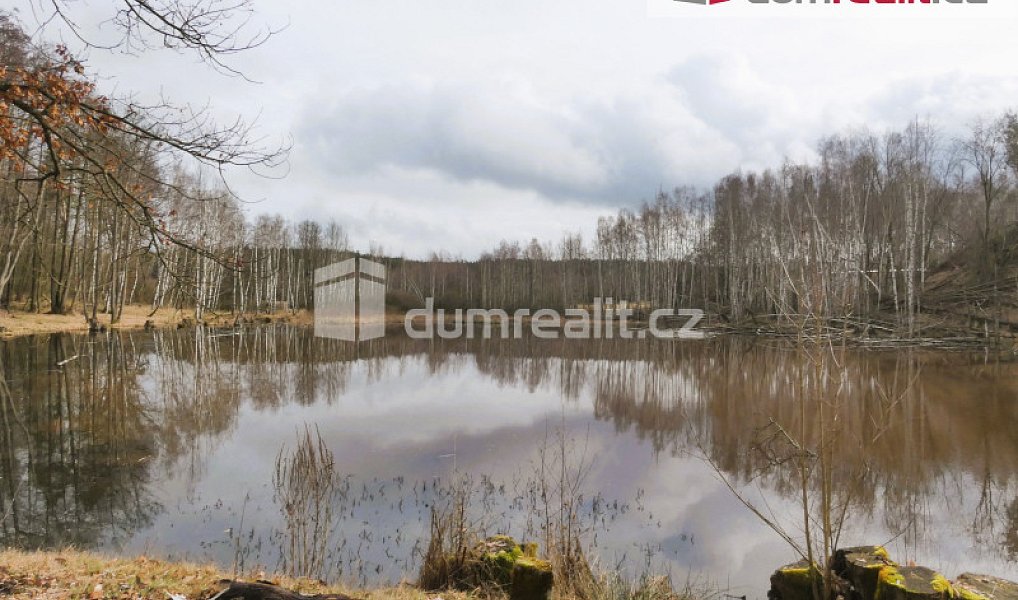 Prodej vodní plochy 3 974 m², Pomezí nad Ohří – náhled fotky 6