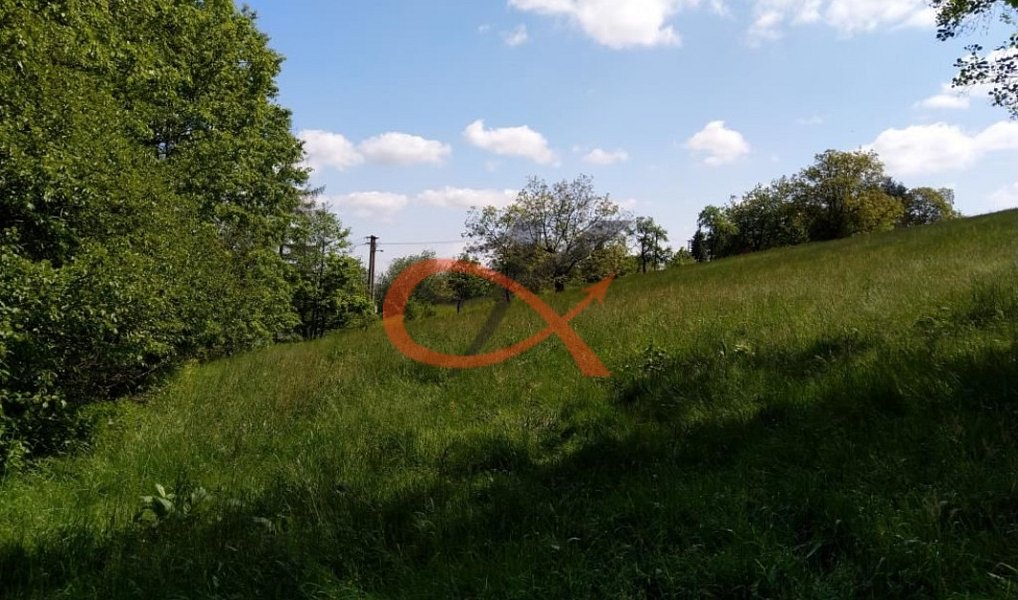 Prodej stavebního pozemku 9 208 m², Háj ve Slezsku – náhled fotky 3