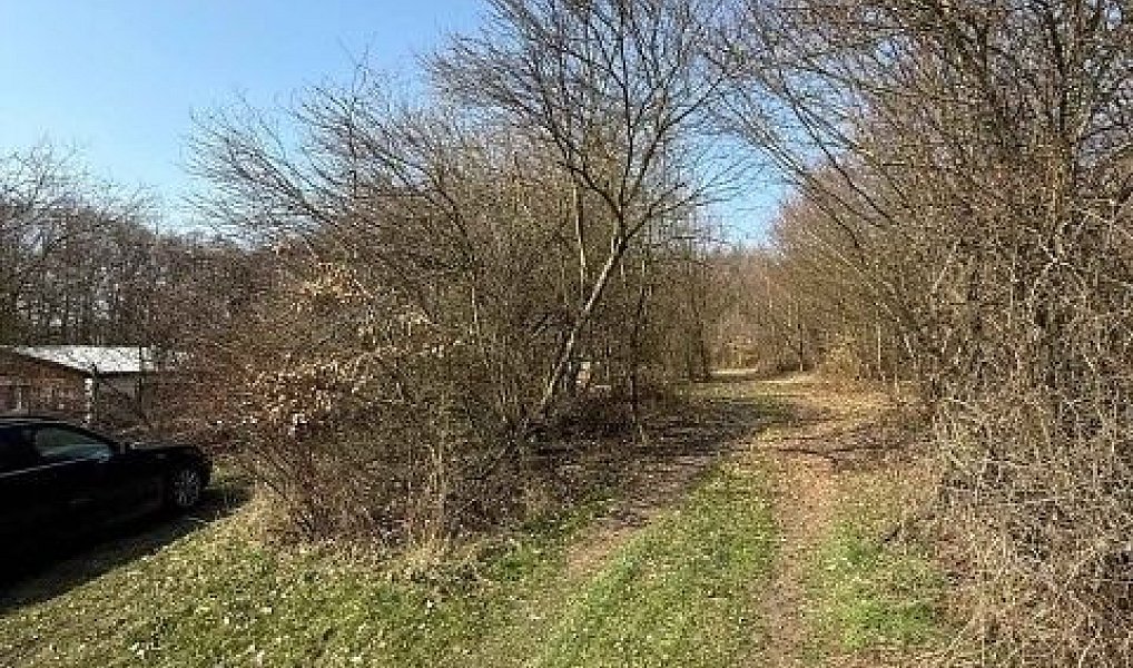 Prodej louky 651 m², Kostelec u Křížků – náhled fotky 7