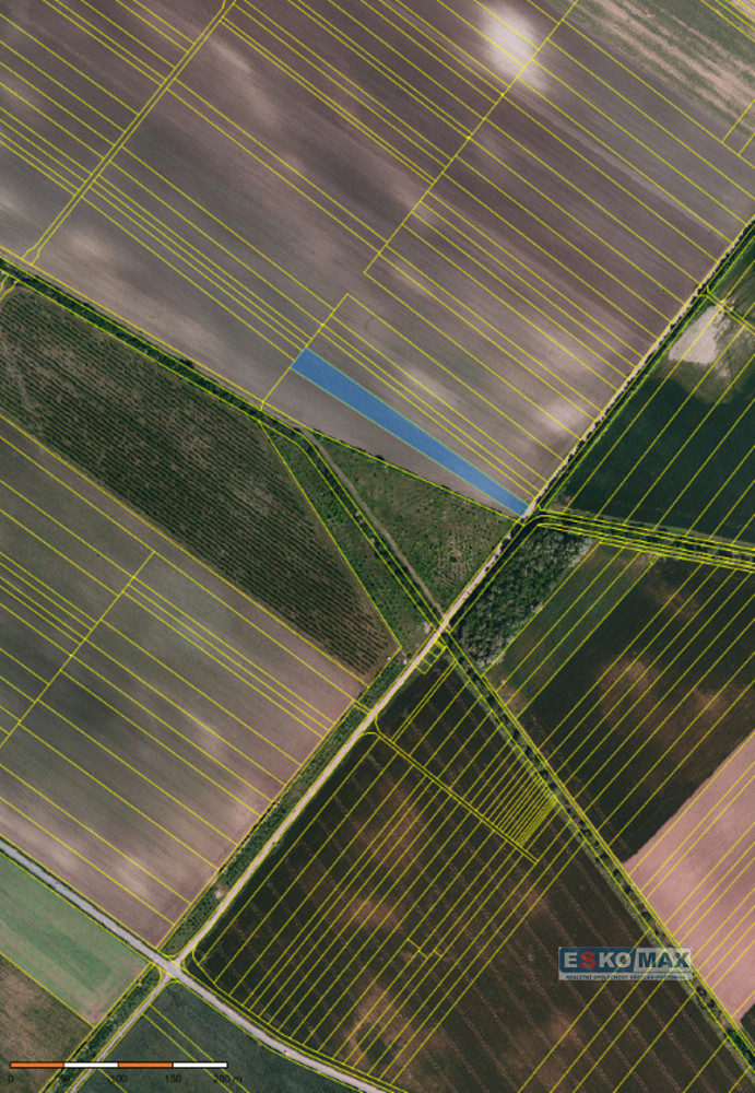 Prodej pole 4 600 m² – fotografie 3