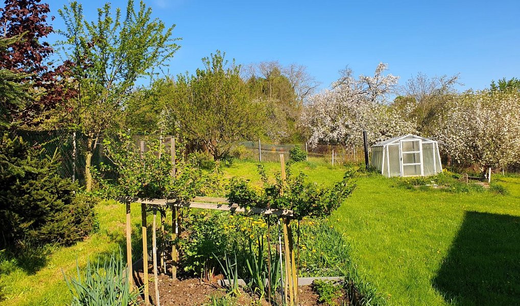 Prodej chaty/chalupy 107 m² s pozemkem 12 732 m², Hořovice – náhled fotky 6
