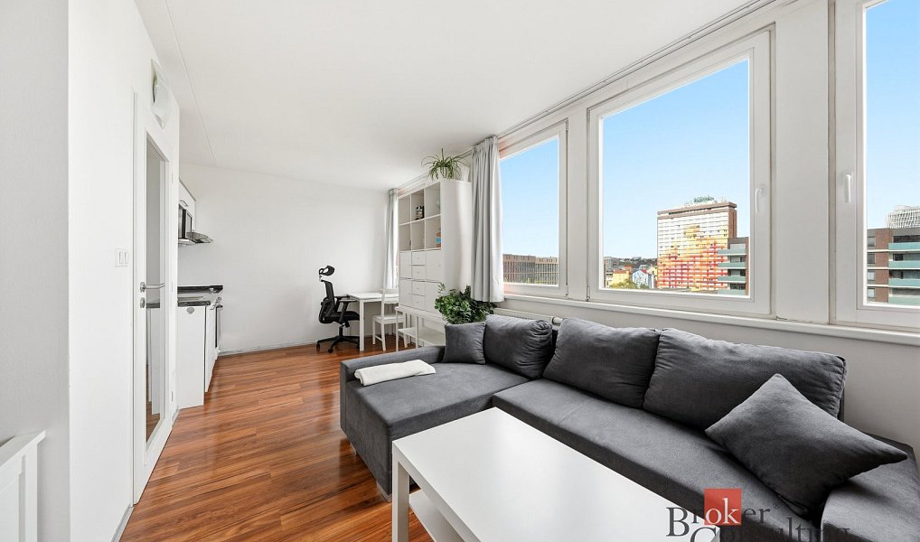 Prodej bytu 1+kk 30 m², Praha – náhled fotky 8