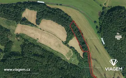 Prodej lesa 4 729 m², Vranová Lhota, okres Svitavy