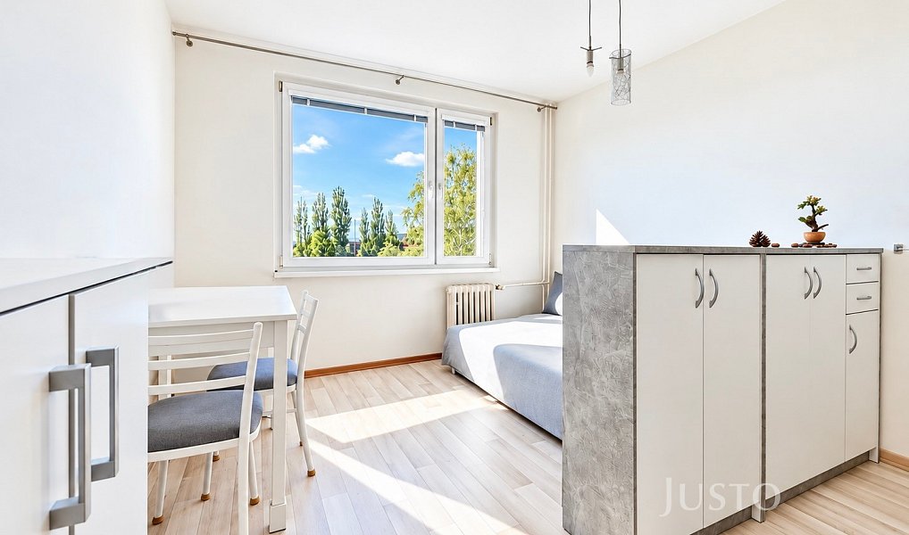 Prodej bytu 1+kk 20 m², Ústí nad Labem – náhled fotky 3