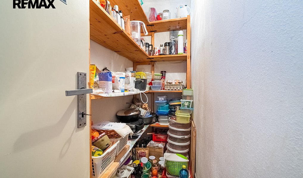 Prodej domu 173 m² s pozemkem 1 876 m², Mladý Smolivec – náhled fotky 46