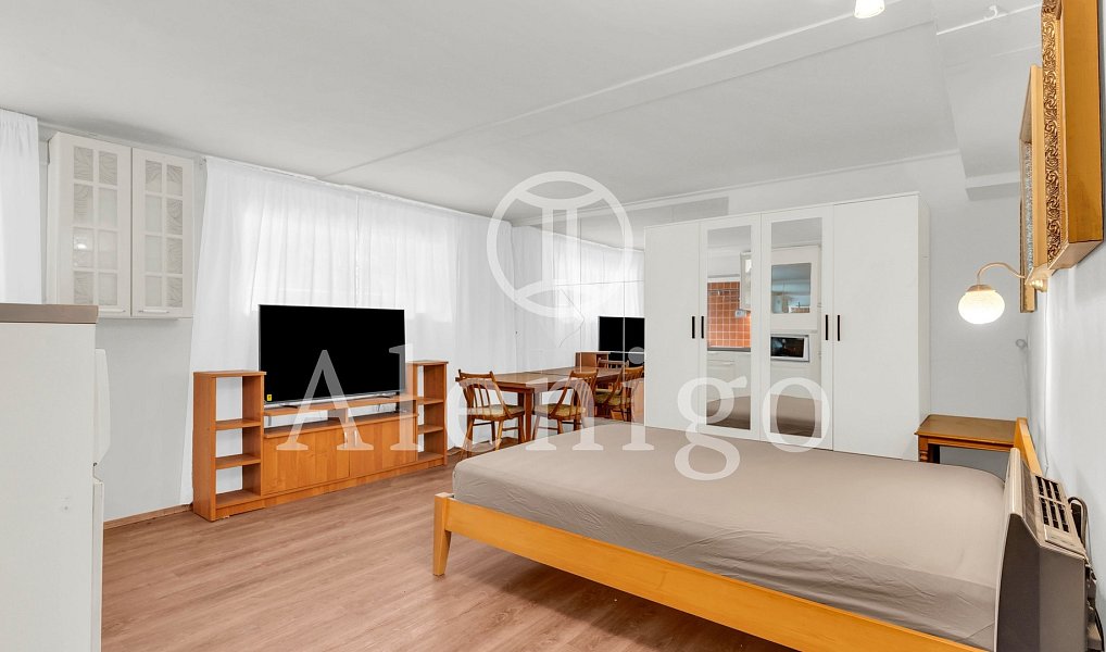 Prodej bytu 1+kk 25 m², Praha – náhled fotky 2