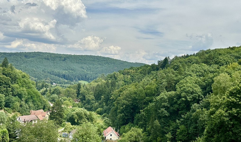 Prodej stavebního pozemku 3 706 m², Stříbrná Skalice – náhled fotky 11