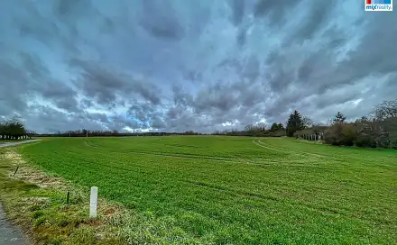 Prodej pole 32 493 m², Březová, Heřmanova Huť, okres Plzeň-sever