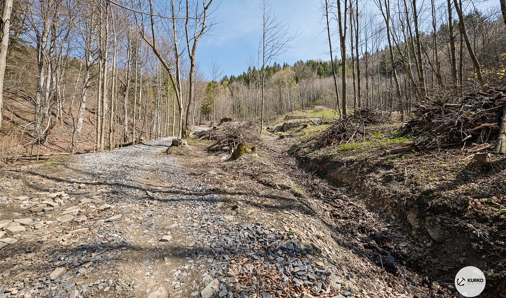 Prodej chaty/chalupy 120 m² s pozemkem 64 360 m², Morávka – náhled fotky 13