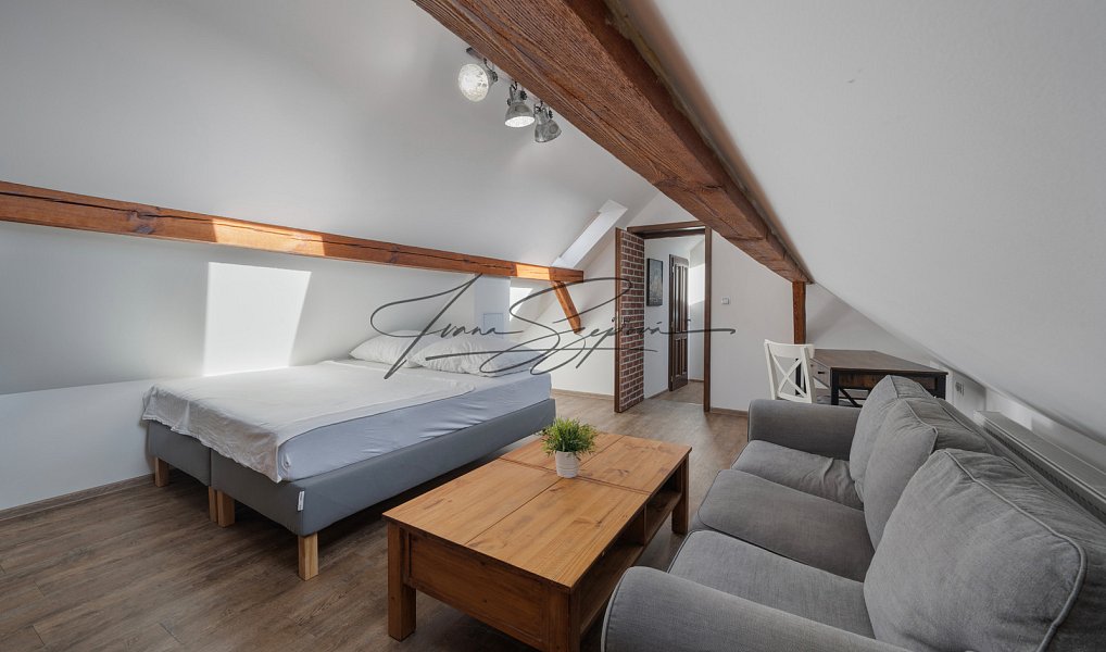 Prodej ubytovacího objektu 208 m², Dráchov – náhled fotky 37