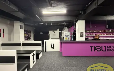 Pronájem komerčního objektu (jiného typu) 250 m², Kroměříž