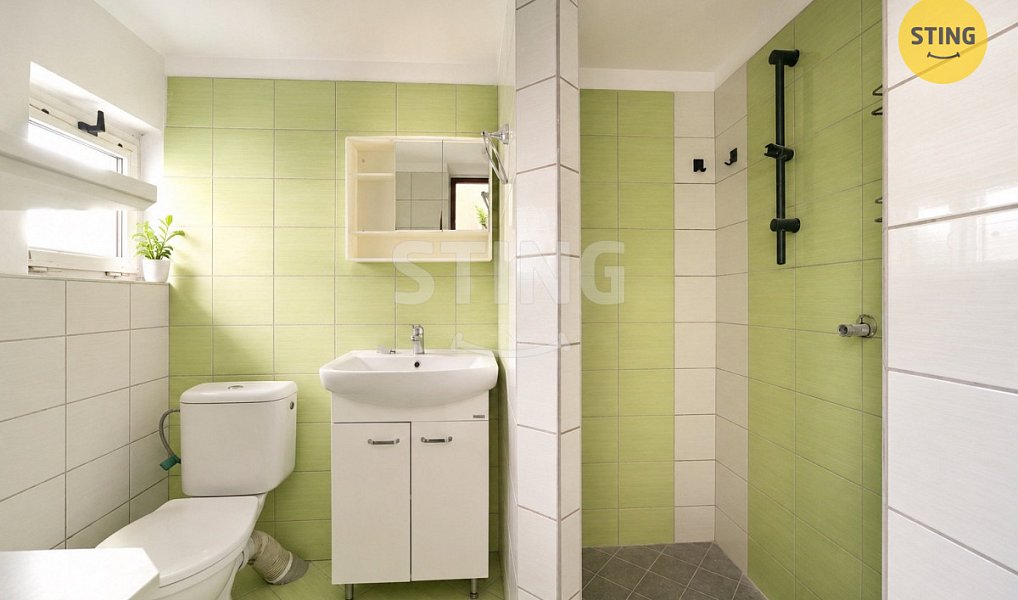 Prodej domu 200 m² s pozemkem 1 050 m², Zubčice – náhled fotky 11