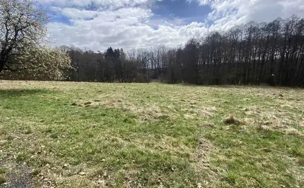 Dražba louky 692 m², Jablonné v Podještědí