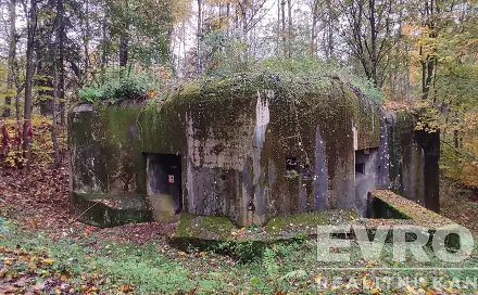 Prodej pozemkové parcely č. 448/10 s možností Nájemní smlouvy na izolovaný pěchotní srub TS 60 U sta, Trutnov