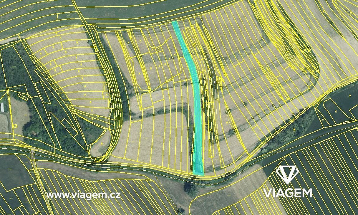 Prodej pole 953 m² – fotografie 3
