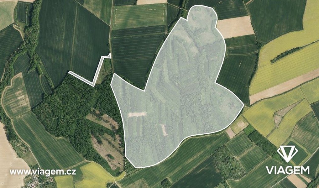 Prodej lesa 16 746 m², Křenovice – náhled fotky 2