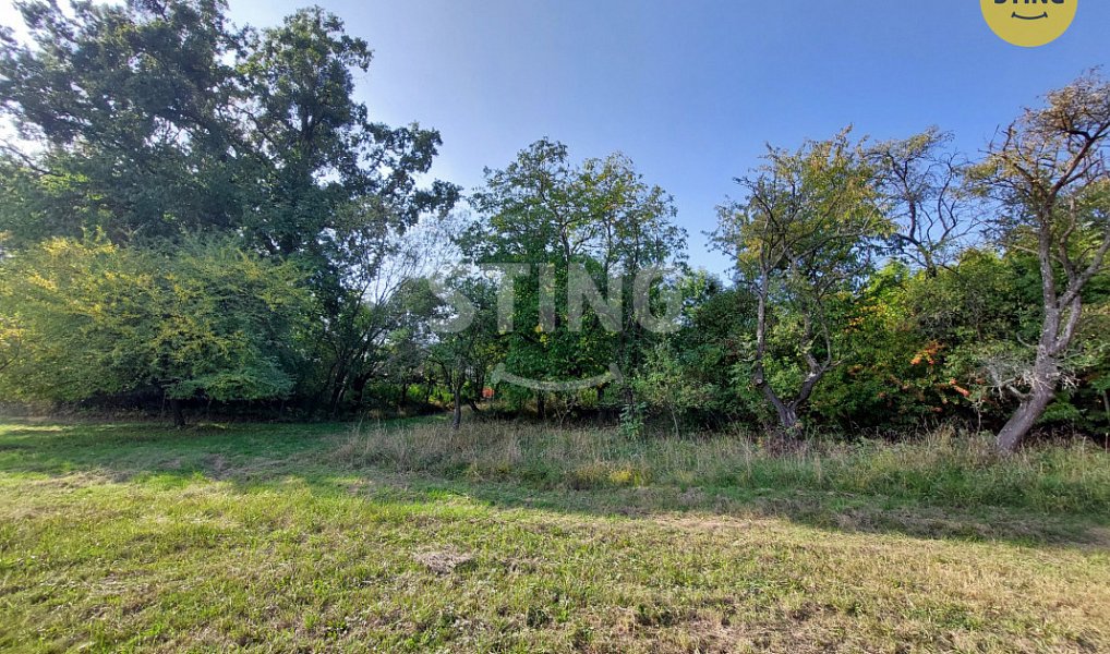 Prodej domu 260 m² s pozemkem 6 448 m², Dolní Těšice – náhled fotky 10