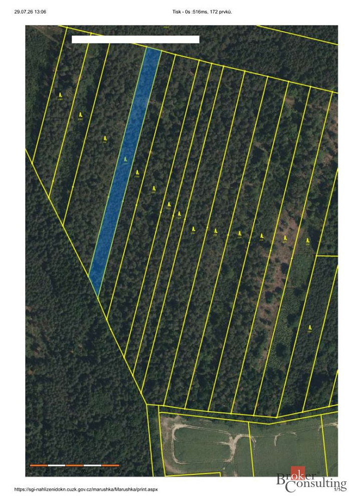 Prodej lesa 32 388 m²