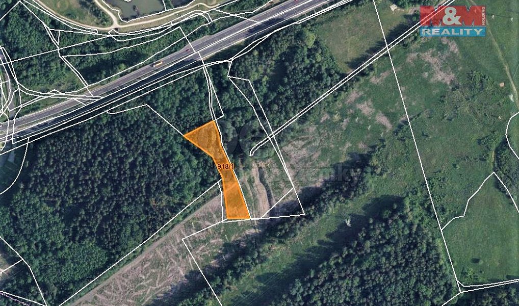 Prodej louky 4 171 m², Dolní Rychnov – náhled fotky 3