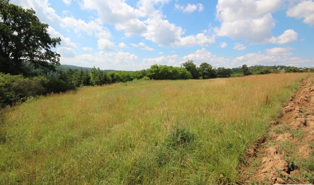 Prodej pole 10 736 m², Okrouhlo – náhled fotky 6