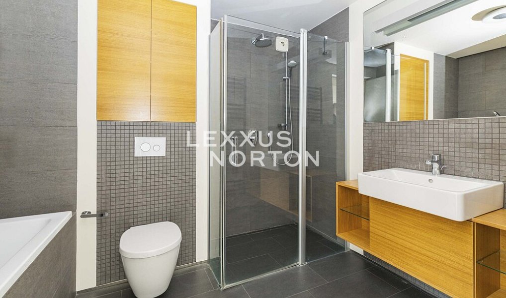 Pronájem bytu 5+kk 200 m², Praha – náhled fotky 10