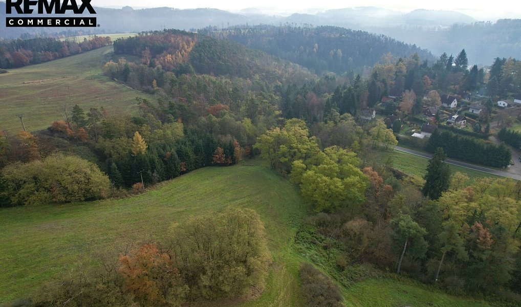 Prodej louky 8 808 m², Županovice – náhled fotky 11
