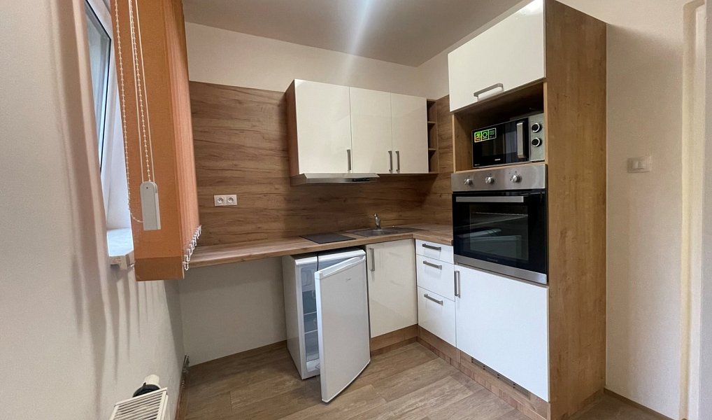 Pronájem bytu 2+kk 27 m², Staré Hradiště – náhled fotky 2