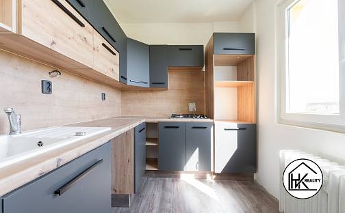 Prodej bytu 2+1 53 m², Zrenjaninská, Teplice - Řetenice