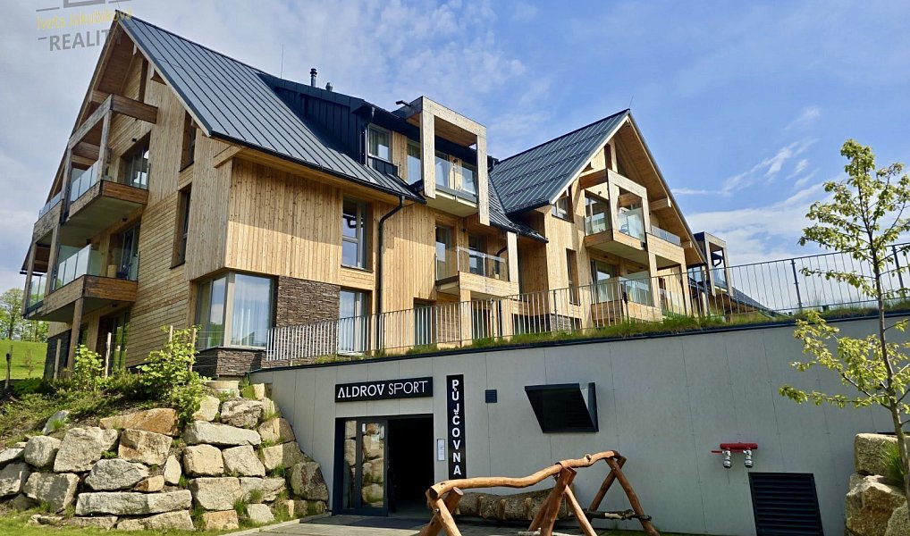 Prodej bytu 1+kk 56 m², Vítkovice – náhled fotky 36