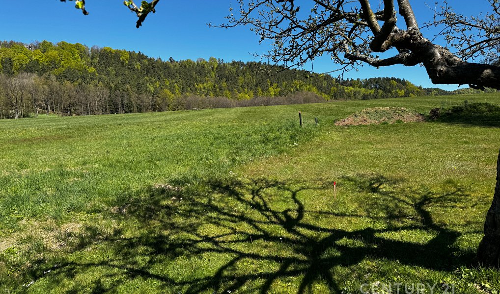 Prodej stavebního pozemku 2 626 m², Křižany – náhled fotky 5