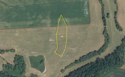 Prodej pole 9 226 m², Bělá nad Radbuzou - Čečín, okres Domažlice