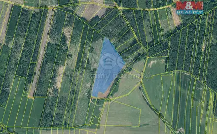 Prodej lesa 32 445 m², Jetětice, okres Písek