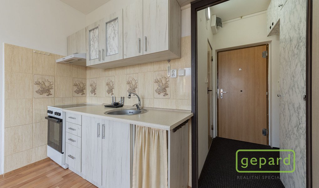 Pronájem bytu 1+1 35 m², Hazlov – náhled fotky 2
