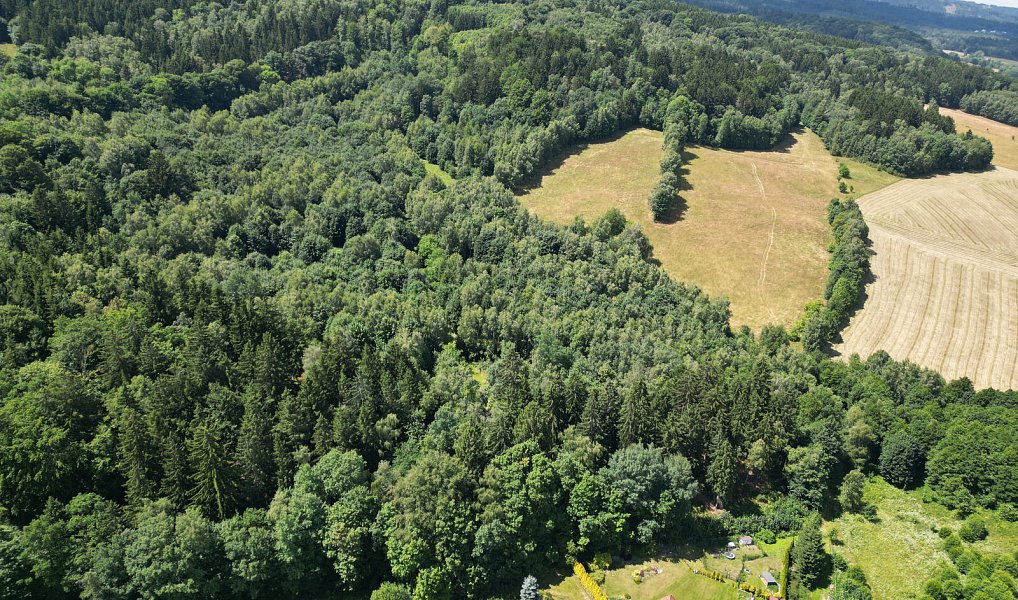 Prodej lesa 4 606 m², Šimonovice – náhled fotky 4