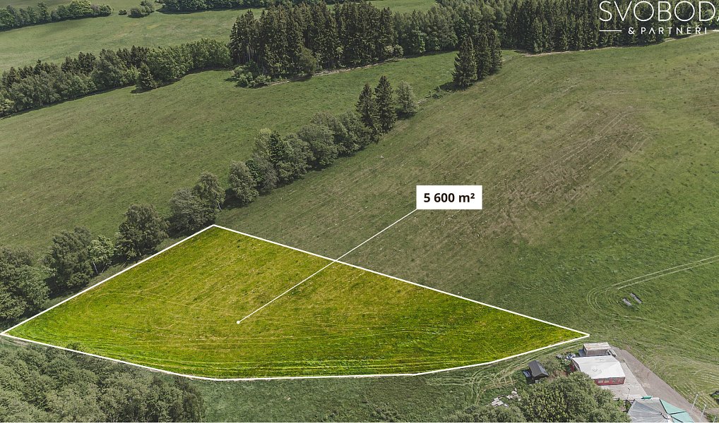 Prodej stavebního pozemku 5 600 m², Olešnice v Orlických horách – náhled fotky 4