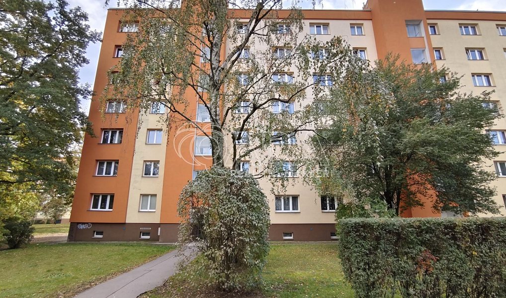 Pronájem bytu 2+1 53 m², Praha – náhled fotky 3